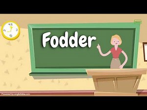 How to Pronounce Fodder | Fodder Pronunciation