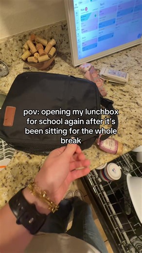 school💔 #school #lunch #newyear #break #fypシ | Lunch Box