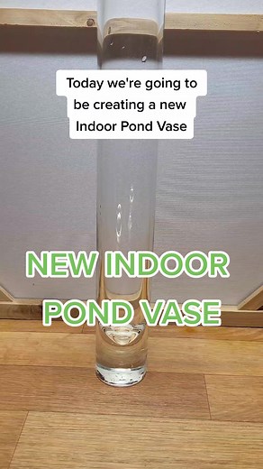 Creating an Indoor Pond Vase Step by Step
