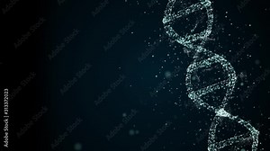 Rotating DNA high-detailed helix strand under examination.