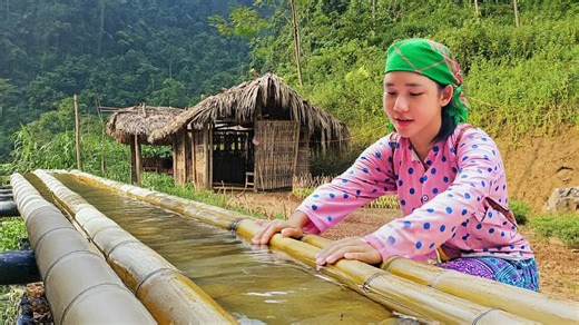 How to Maintain Bamboo Pipes: Clearing Leaves and Moss - Water a Small Garden | Court Shows