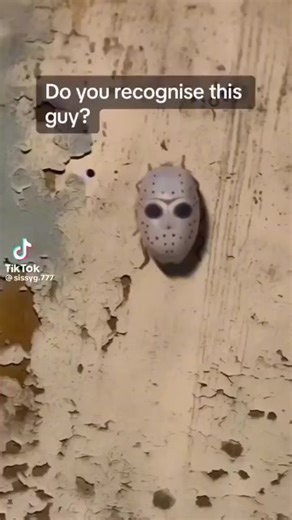 Unusual bugs in the world | Beauty of Nature