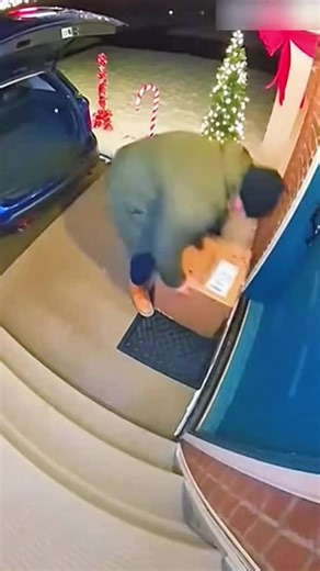 Porch exploding package box with glitter #porchpiatecaught #glitter #package #usaus #fyp