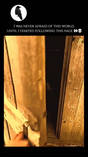 unseenwildlife on Instagram: "The leopard (Panthera pardus) is one of the five "big cats" in the genus Panthera and is renowned for its incredible adaptability, stealth, and physical power. Characterized by its sleek, muscular body and golden-yellow fur covered in dark, ring-like patterns called rosettes, the leopard is masterfully camouflaged for a variety of environments ranging from sub-Saharan African savannas to the rugged mountains of Asia and even tropical rainforests. Unlike many other l