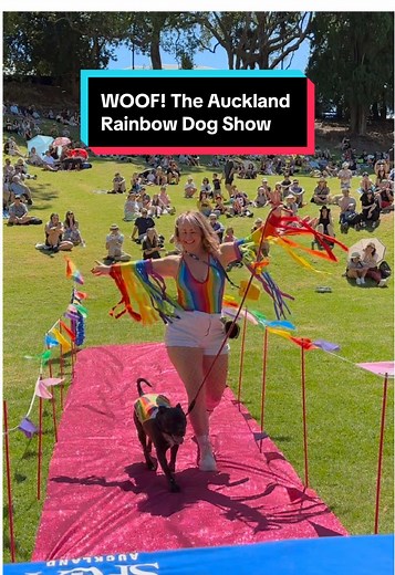 Auckland Rainbow Dog Show Celebrates Community and Charity