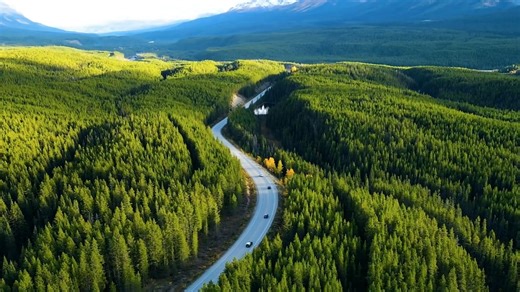 3dsmax中如何快速的开辟一条公路