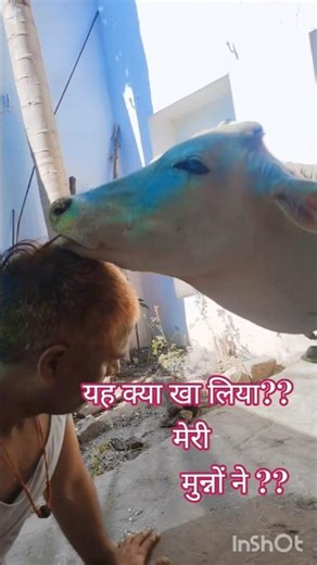 March 4, 2026Heavy Driver Munno Ki Ghar Wali Holi 😎🌸#holi