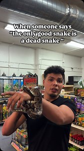 LLLReptile and Supply Co, Inc on Instagram: "As reptiles owners and exotic pet owners , we all know the stigmas behind being exotic animal parents. Snakes sizing you up being brain dead killing machines, dart frogs being poisonous in captivity , ball pythons being poisonous or venomous , tarantulas being defanged , the list goes on and on and on. And for every reptile owner out there , there are at least 5 friends who don’t truly understand them and may be absolutely terrified , and for those of