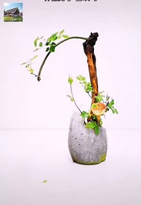 1.2M views · 21K reactions | The art of simple flower arrangement, unique | Handmade | Facebook