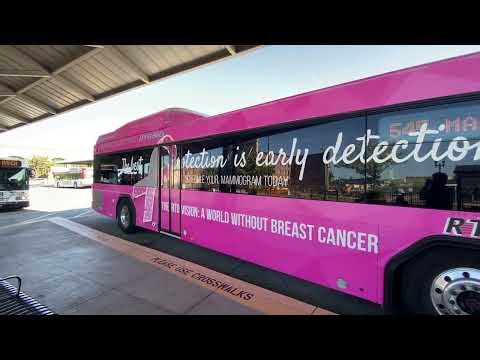 San Joaquin RTD bus 545 pink