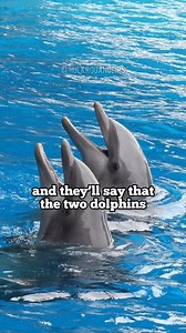 Some Fascinating Examples of Complex Animal | Hulkroganclips | Facebook