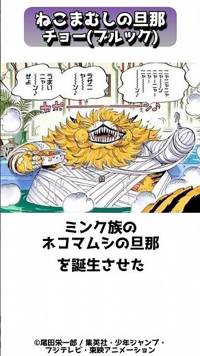 ネコマムシの旦那が誕生したチョーと尾田栄一郎の話 #shorts