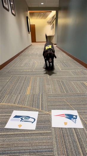 Starla’s Super Bowl prediction is locked in 🔒🏈 Who’s your pick? | Schoolcraft College