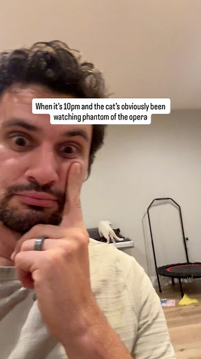 53K views · 447 reactions | “Babe, the cat has been watching the phantom of the opera again.” #catlife #CoolCats #musicals | The Murrays | Facebook