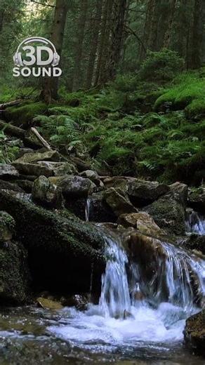 Forest Stream Flow 🌿 | 3D Sound #3dsound #forestsounds #natureambience