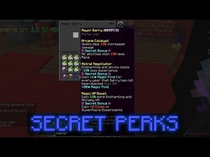 The moment Barry became MAYOR! (SECRET 6 PERKS) | Hypixel skyblock
