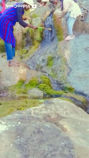 muler (@muler0822)’s videos with original sound - muler