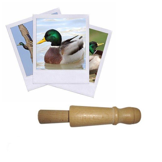 Appeau Canard Colvert - Sifflet Chant oiseau 100% Made in France