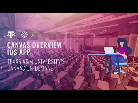 Canvas Overview: iOS App