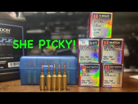 A second chance for the 22 ARC or calling it quits? Does HORNADY suck?