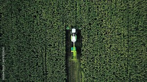 Forage harvester on maize cutting for silage in field. Harvesting biomass crop. Self-propelled Harvester for agriculture. Tractor work on corn harvest season. Farm equipment and farming machine. Stock Video