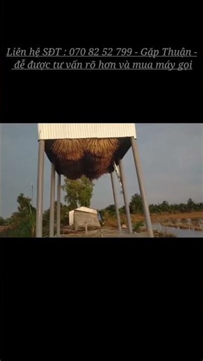 Tiếng Dơi Muổi Kêu Bầy , Máy Gọi Túc Dơi Về Chòi Ở Lại Không ...?