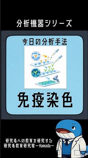 【分析手法説明シリーズ】タンパク質の中を見分ける実験手法「免疫染色」#1分研究ゼミ