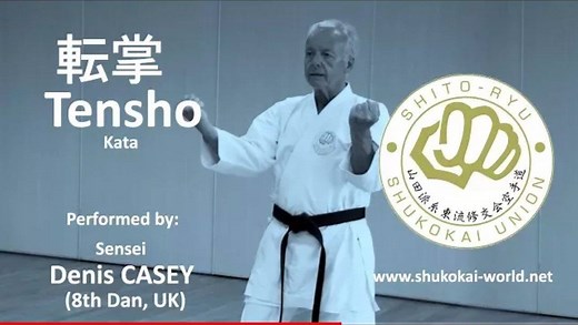 This is a video of kata TENSHO 転掌 performed by sensei Denis Casey, 8th Dan (UK) along with its bunkai techniques and analysis. Tensho is originally a GOJU RYU kata, based on an ancient Chinese form called "Rokkishu". This video was created as a part of a bigger article for www.shukokai-world.net where you can find more information concerning this kata, its history, its roots, its meaning and more. Cc https://youtu.be/NhxWNcuwLpQ | Karate Techniques