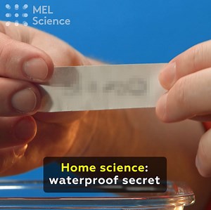 24K views · 125 reactions | Watch till the end to see our secret message  For step-by-step instructions of this experiment go here: https://mel.sc/sxh/ For cool and safe experiments to do at home, sign up for MEL Science here: https://mel.sc/sxi/ | MEL Science | Facebook