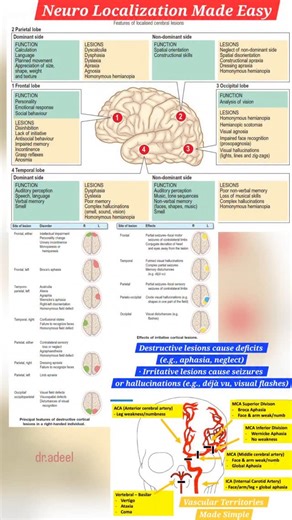 Adeel Ur Rehman on Instagram: "🧠 Brain Lesions Decoded: From Anatomy to Symptoms Understanding cortical lesions is a cornerstone of neurology—but it doesn’t have to be overwhelming. Here’s a breakdown of key localizations, their clinical features, and vascular correlations that every clinician and med student should know. --- 🔍 Lobe-by-Lobe Breakdown · Frontal Lobe Dominant side → personality, emotion, social behavior Non-dominant → movement & language disorders · Parietal Lobe Dominant → calc