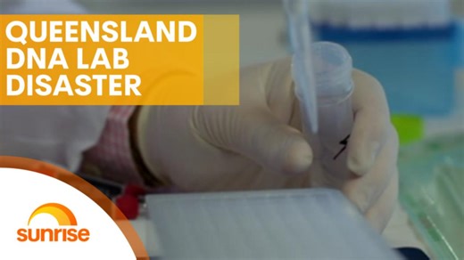 Queensland lab disaster