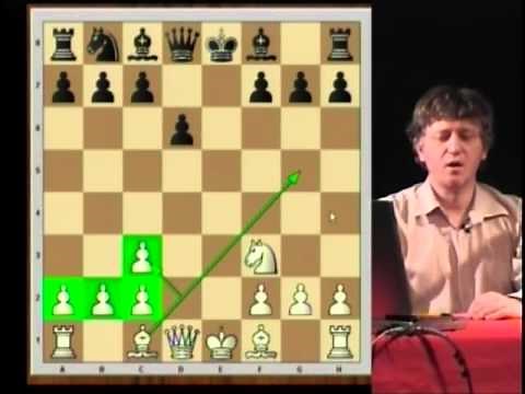 Défense Russe Petrov 1 e4 e5 2 Cf3 Cf6 - La leçon du jeu déchecs