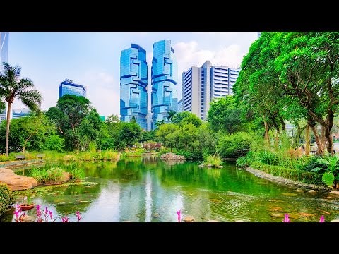 Hong Kong Top Things To Do Viator Travel Guide
