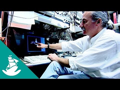 Microcosmos - Now in Hight Quality! (Full Documentary)