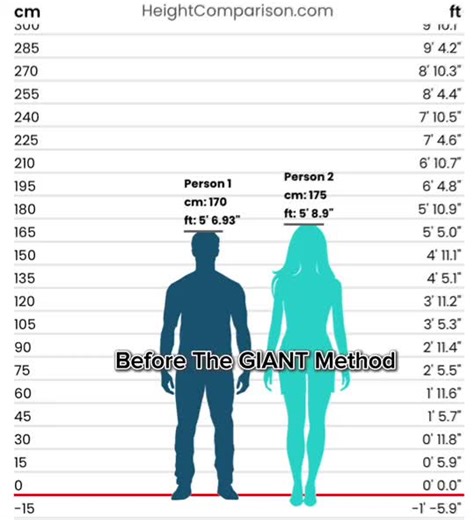 TikTok · thegiantmethod