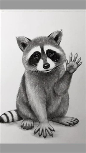 How To Draw Cute Raccoon 🦡 | Don’t Skip This Cute Raccoon #shorts #raccoonart