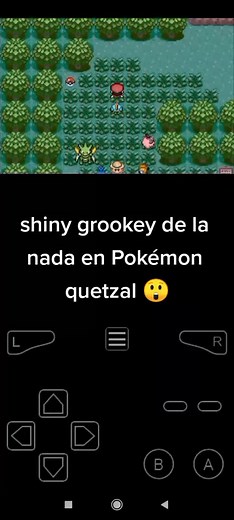 ¡Increíble! Shiny Grookey en Pokémon Quetzal