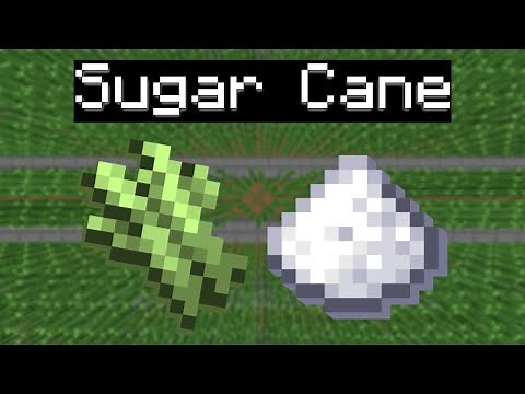 Best Sugar Cane farm design for the new patch *Hypixel Skyblock*