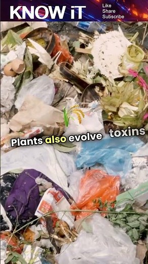 10 Intriguing Facts About Coevolution | KNOW iT