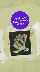 Coral reefs are vital to ocean health and the coastal communities that rely on them—but they’re vanishing fast due to climate change, pollution, and overfishing. #CoralReefAwarenessWeek That’s why the Bloomberg Ocean Initiative is working alongside partners to help conserve and protect these underwater ecosystems. When coral reefs thrive, the ocean—and our planet—does too. 🌍 | Bloomberg Philanthropies