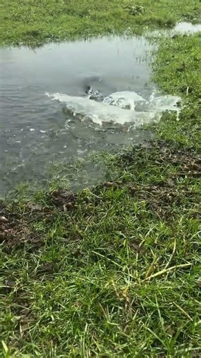 #fishing #moral 3kg my new #fish font🐠🐟