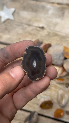 Kentucky agate featuring almost black gray bands :) #rockhound #foraging #fall #breakfastcut #rocks #crystals #agate #geodes | Rocks N Things llc