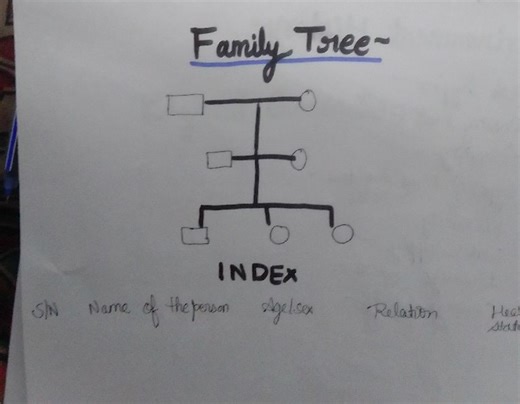 The image shows a partially drawn family tree diagram with an i... | Filo