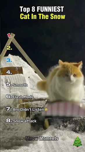 Top 8 FUNNIEST Cat In The Snow #shorts
