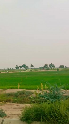 #tektak #plztiktokteam❤️💛💙 #foryou #foryourpage #terding #plztektakteam #viral_video