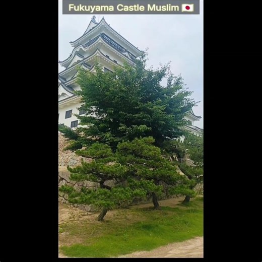 Fukuyama castle a historic place of Japan ❤️🇯🇵❤