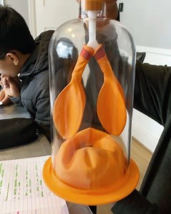 Demonstrating how the lungs work using the bell jar model. We looked at what happens when you breathe in and out and discussed how to measure lung volume #ks3biology #breathinginandout #sptutoring | SP Tutoring