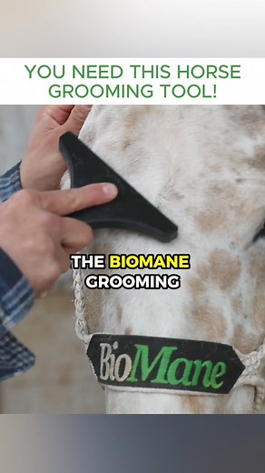 "I absolutely love the grooming tool. It has replaced all of my other brushes. It really pulls all the dead hair out nicely and is so satisfying to use! I really need to get another one to keep in my trailer rack room." – Rachel C. | BioMane Products
