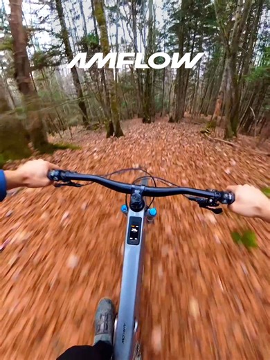 Full send mode ON. ⚡️ No noise. No hesitation. Just you, the trees, and trail flying beneath. With Amflow’s 1000W peak power and precision balance, every turn sparks a rush of motion. *The default peak power on Amflow varies in countries and regions due to the local regulations #AmflowBikes #MountainBike #MTBLife #eMTB #MTBLove #RideWithAmflow