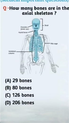 How many bones are in the axial skeleton#AxialSkeleton#HumanAnatomy#BiologyFact#NEET#Anatomy#ytshort